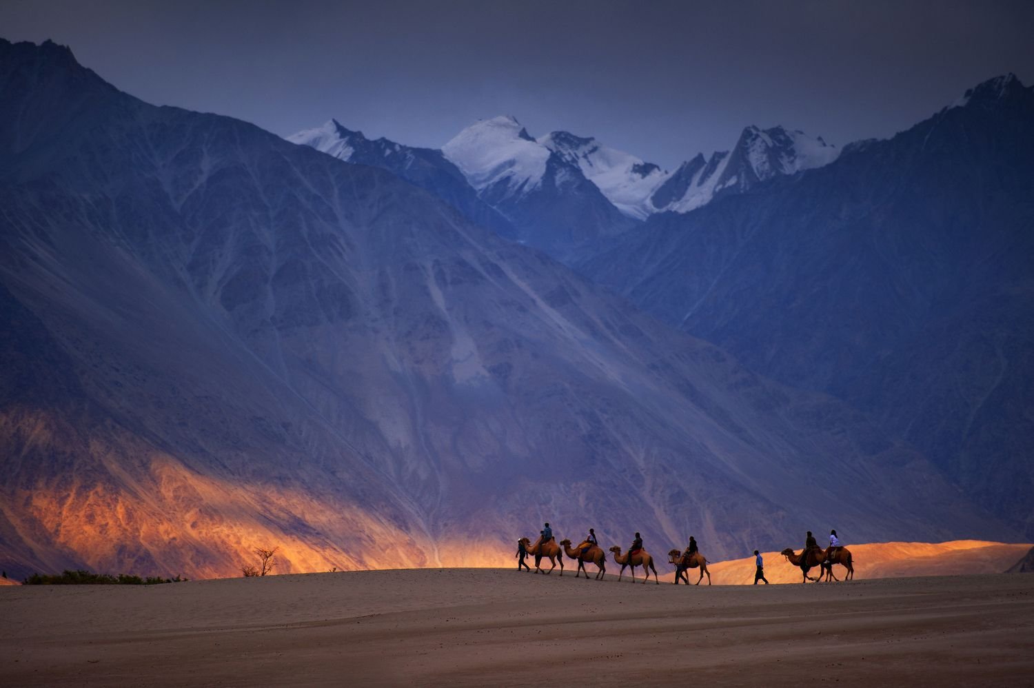 Amazing Ladakh Tour Package
